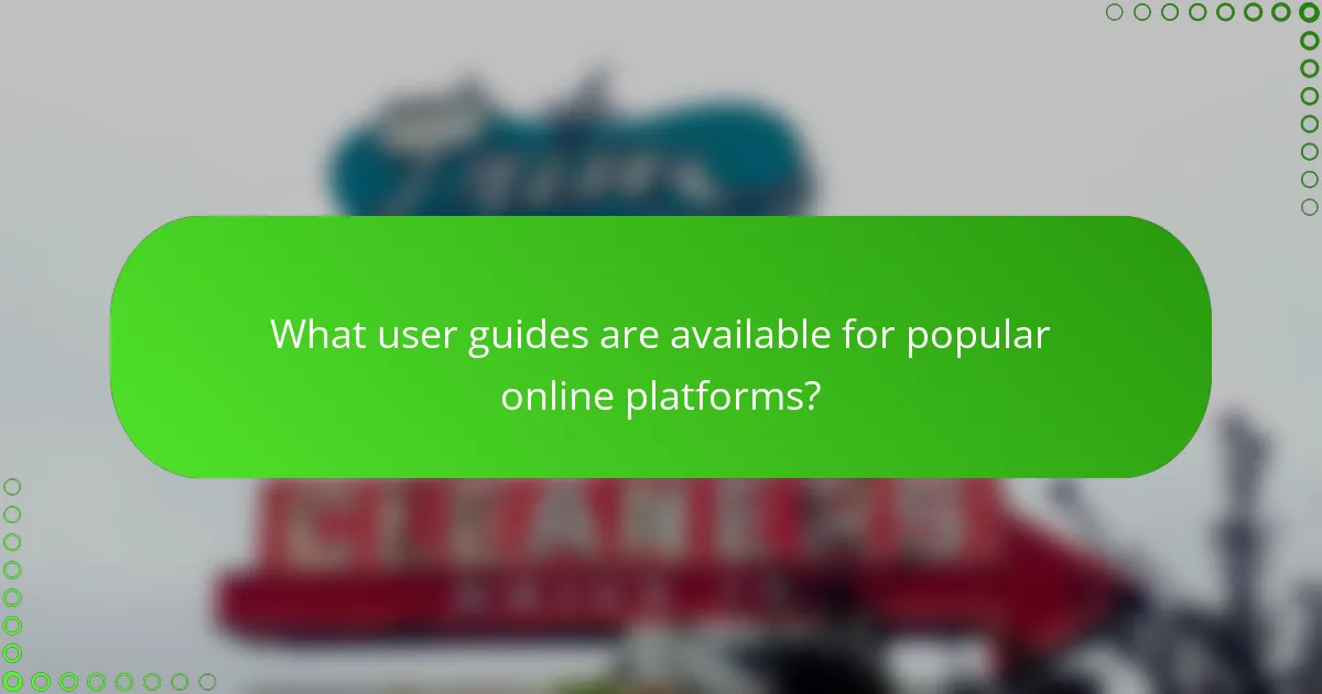 What user guides are available for popular online platforms?